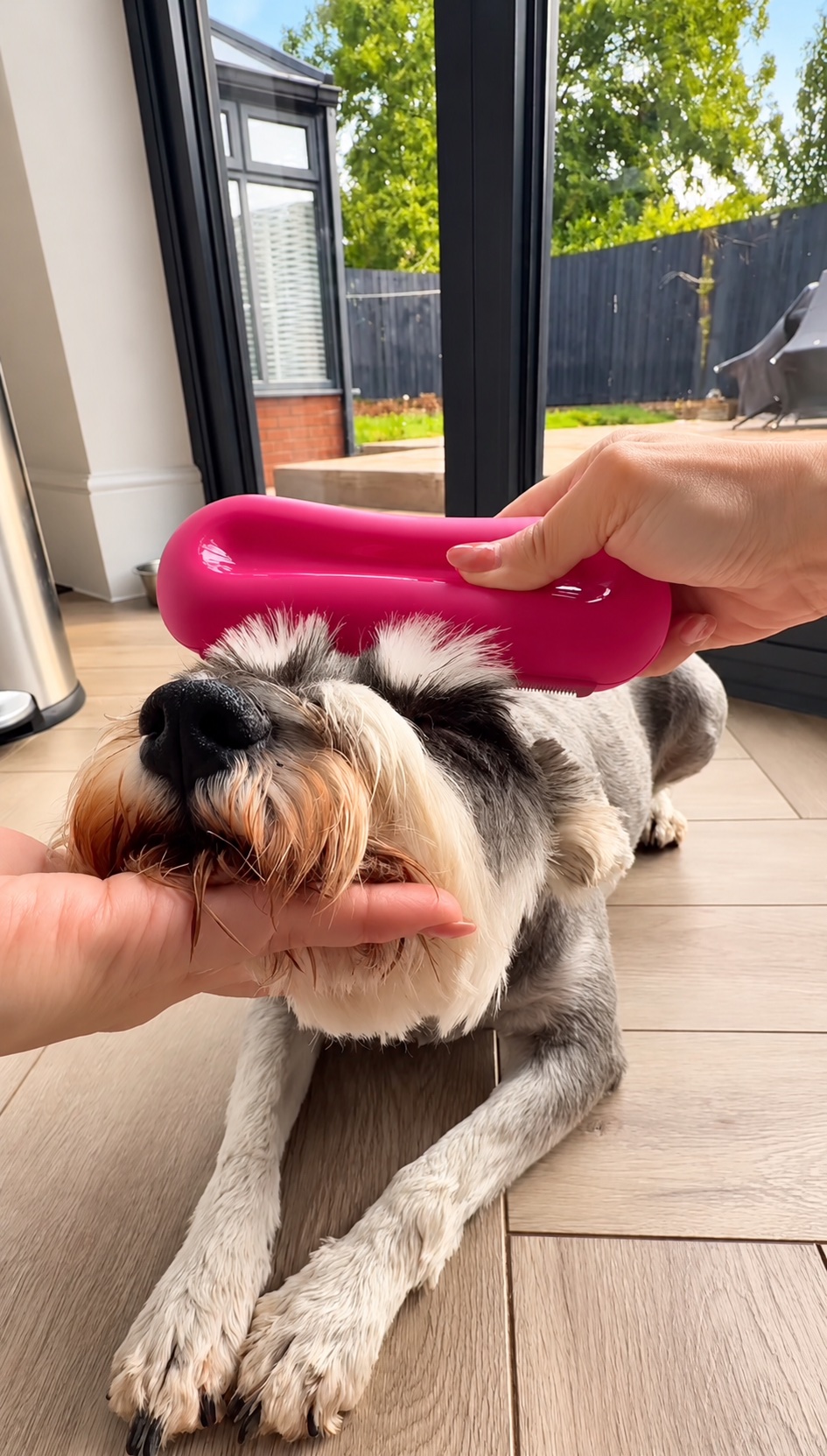 Pet Product